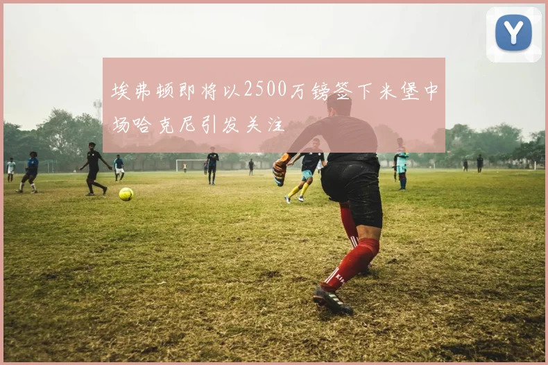 埃弗顿即将以2500万镑签下米堡中场哈克尼引发关注